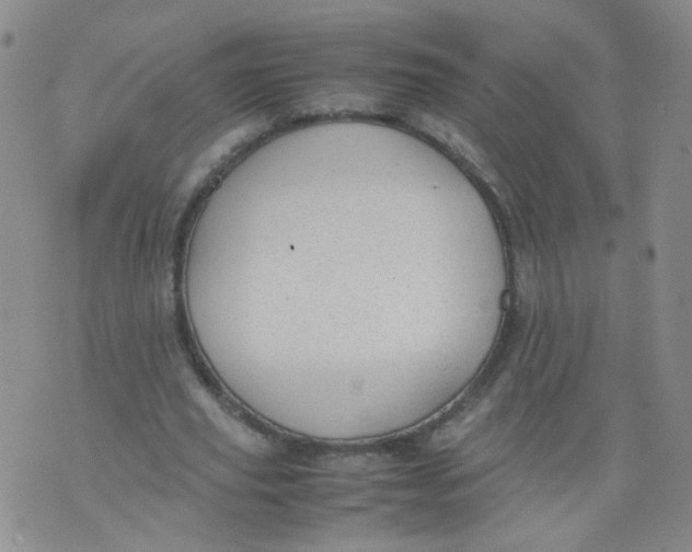 X0000070370629200606301857