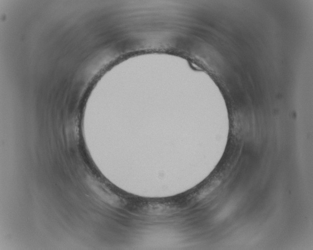 X0000070370632200606301857