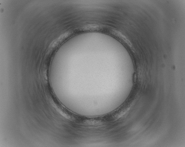 X0000070370633200606301857