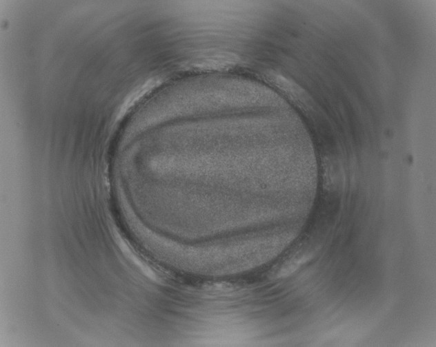 X0000070370634200606301857