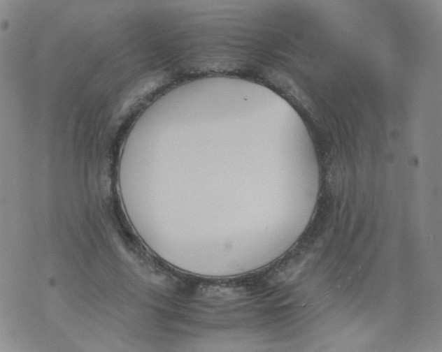 X0000070370635200606301857