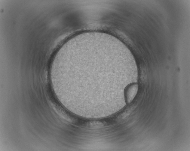 X0000070370636200606301857