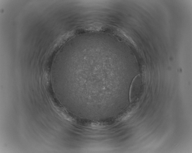 X0000070370641200606301857