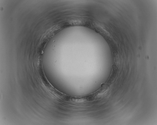 X0000070370645200606301857