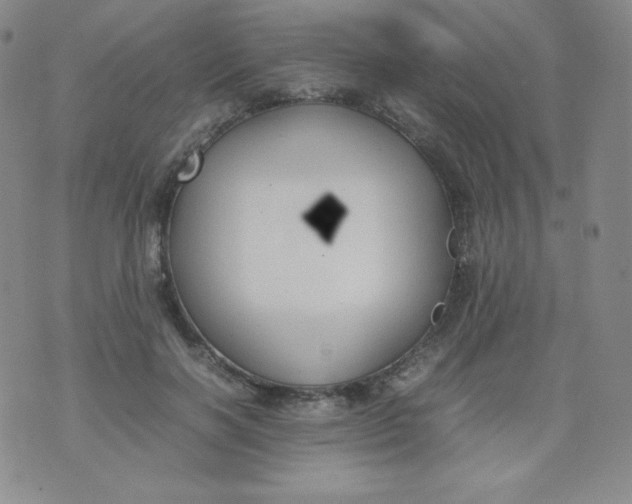 X0000070370646200606301857