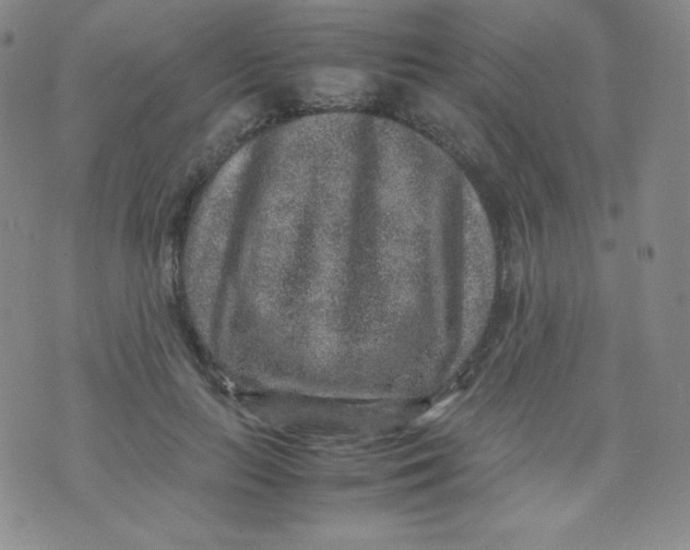 X0000070370647200606301857