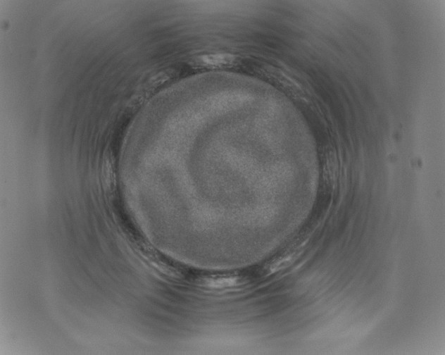 X0000070370651200606301857