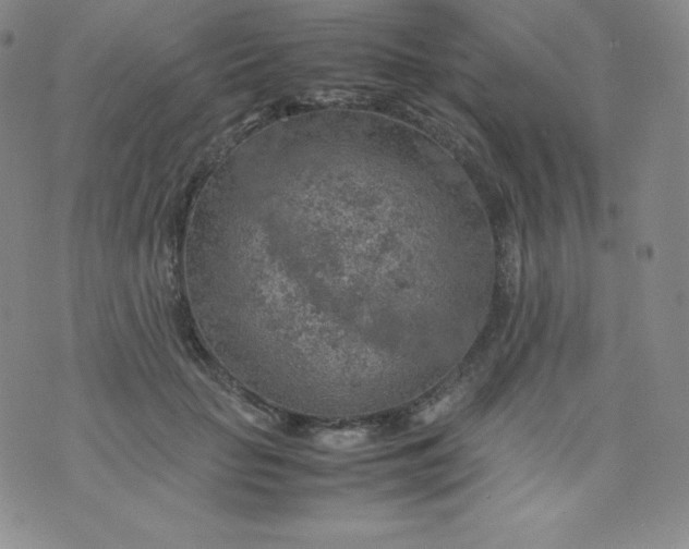 X0000070370653200606301857