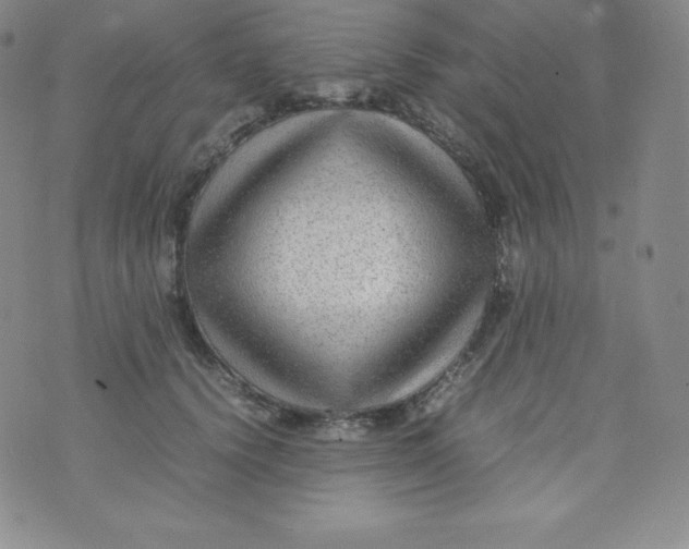 X0000070370656200606301857