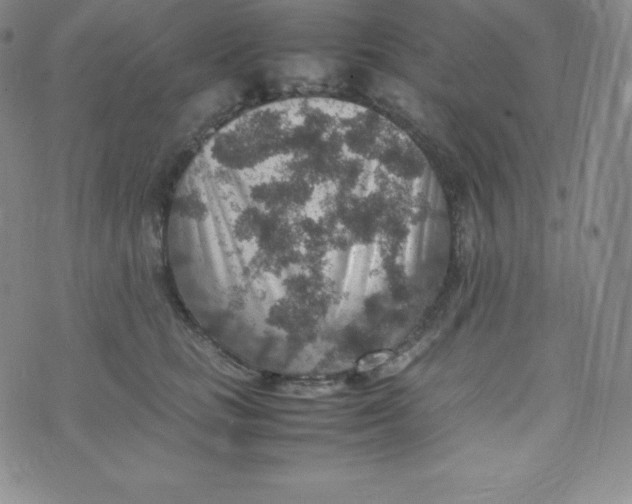 X0000070370661200606301857