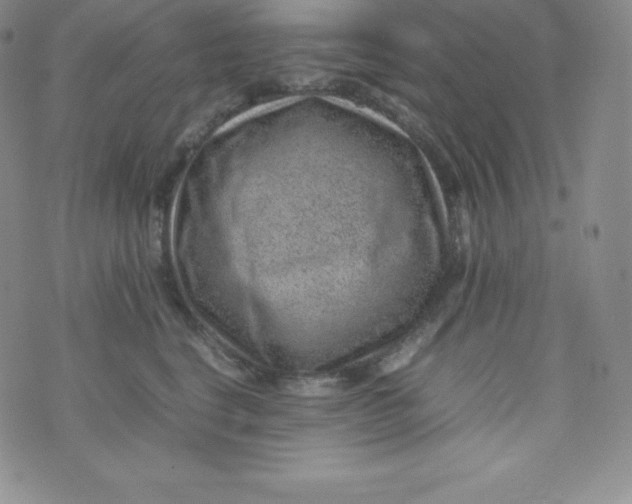 X0000070370664200606301857