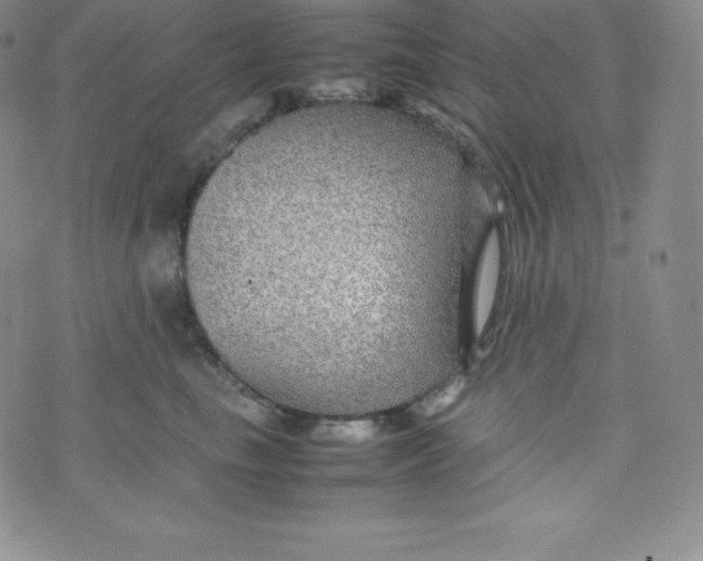 X0000070370665200606301858