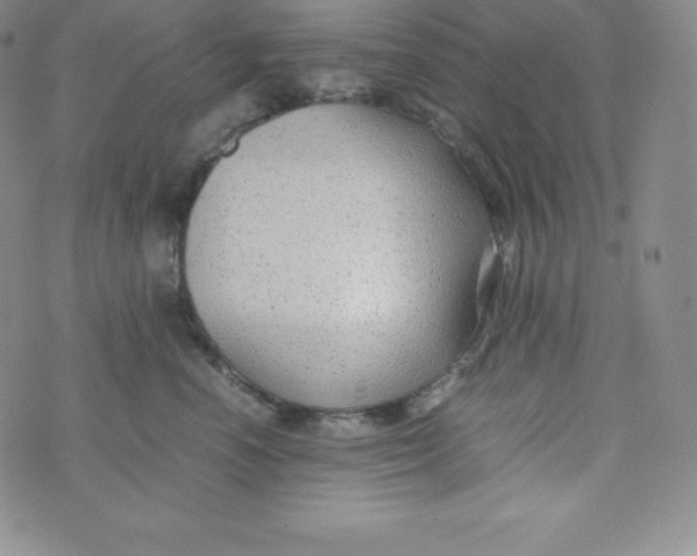 X0000070370666200606301858