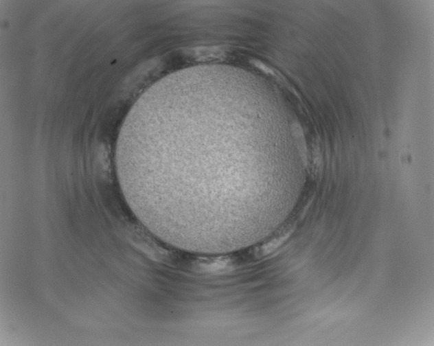 X0000070370667200606301858