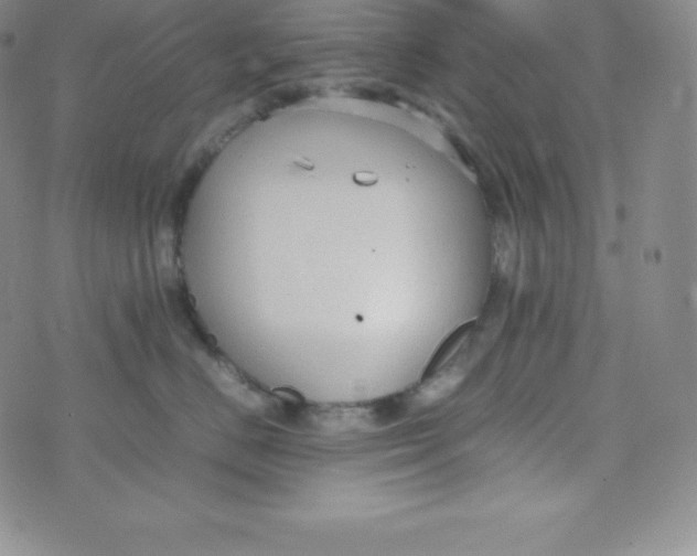 X0000070370670200606301858