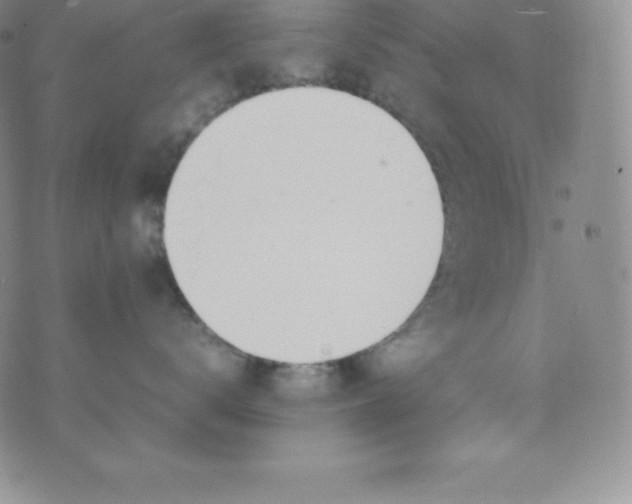 X0000070370672200606301858