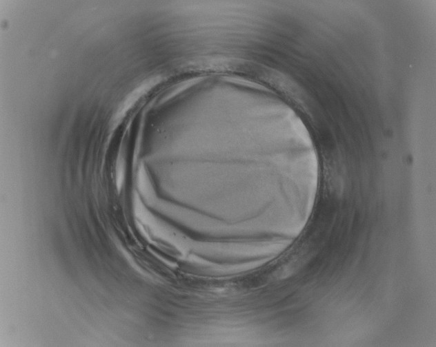 X0000070370674200606301857