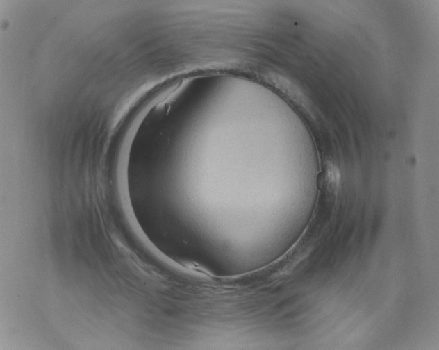 X0000070370676200606301857