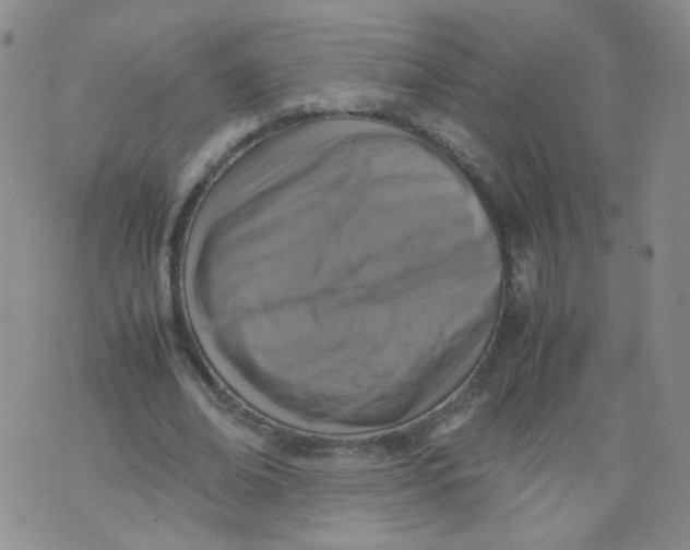 X0000070370678200606301857