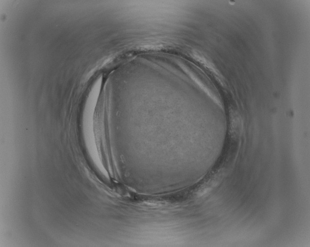 X0000070370681200606301857