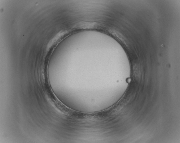 X0000070370682200606301857