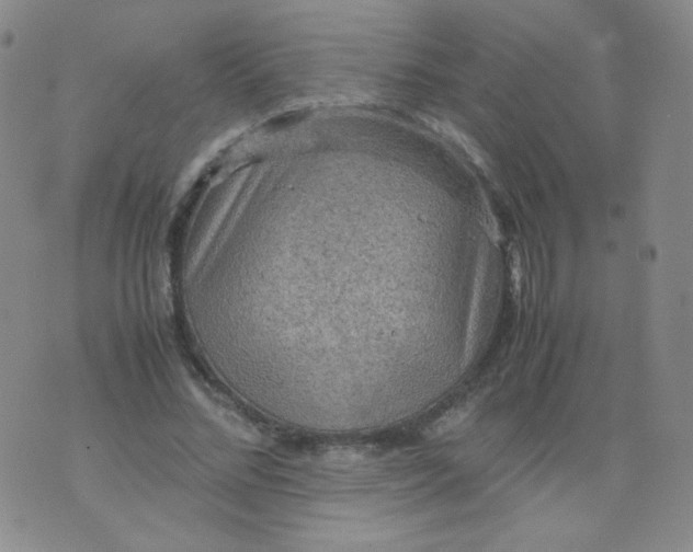 X0000070370684200606301857