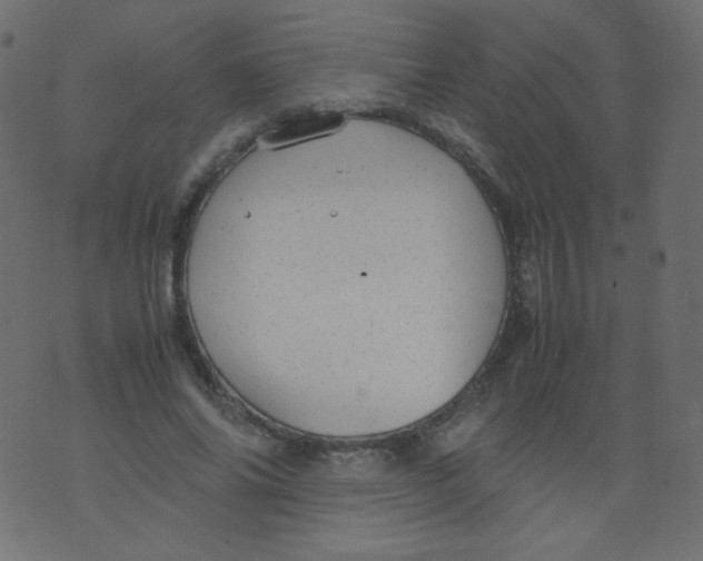 X0000070370686200606301857