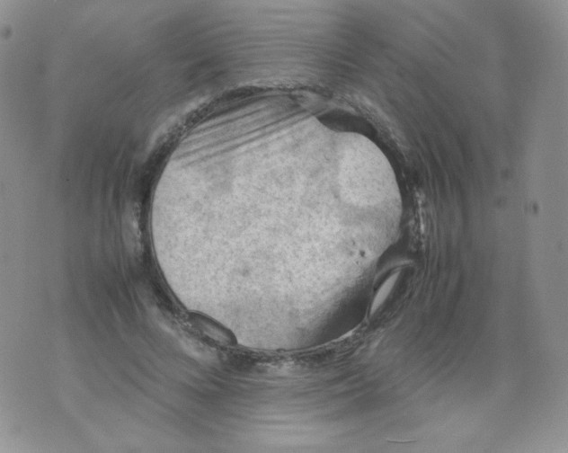 X0000070370688200606301857