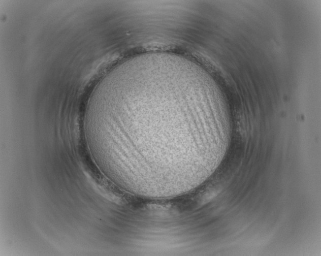 X0000070370690200606301857