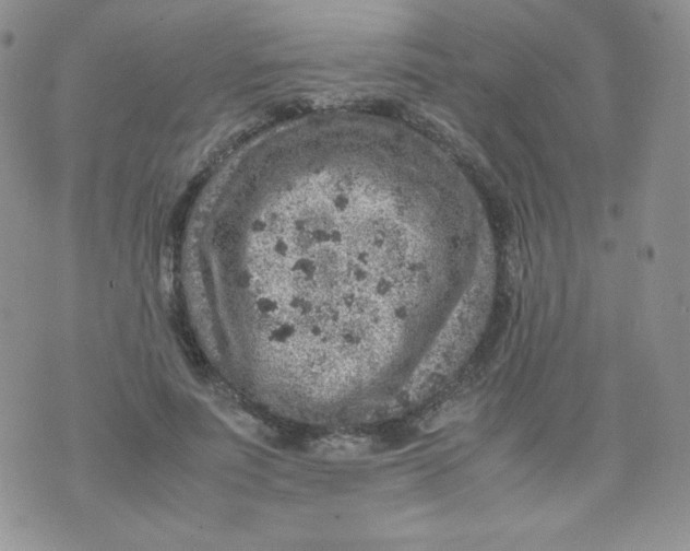 X0000070370691200606301857