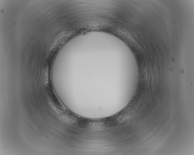 X0000070370694200606301857