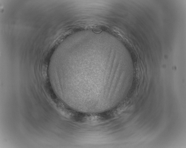 X0000070370695200606301856