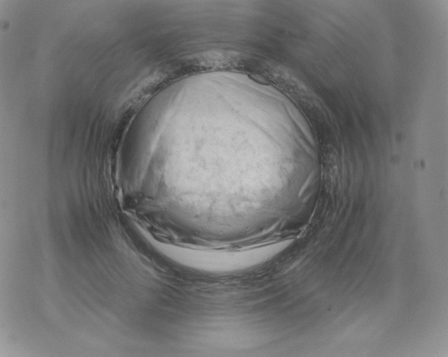 X0000070370696200606301856