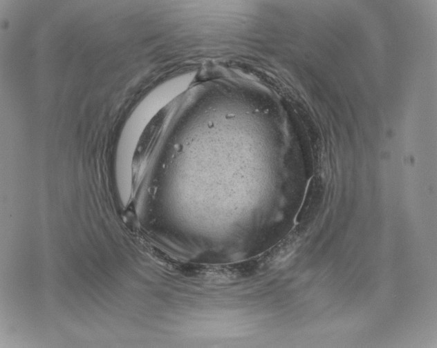 X0000070370697200606301856