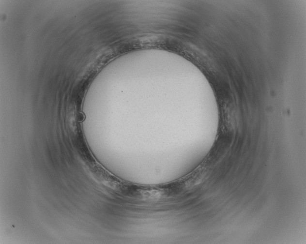 X0000070370698200606301856