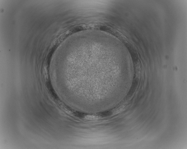 X0000070370699200606301856