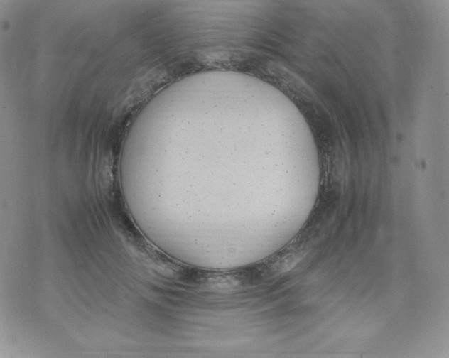 X0000070370702200606301856