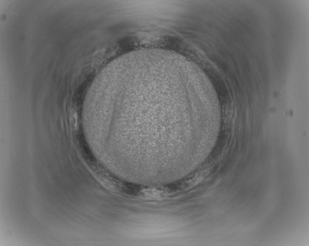 X0000070370703200606301856