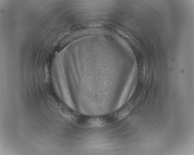 X0000070370704200606301856