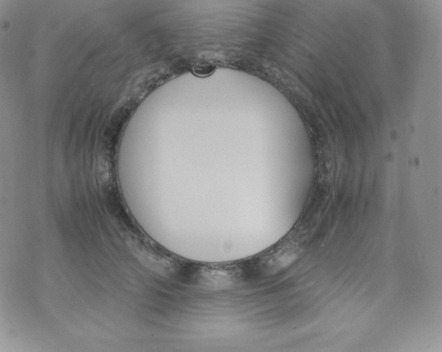 X0000070370706200606301856