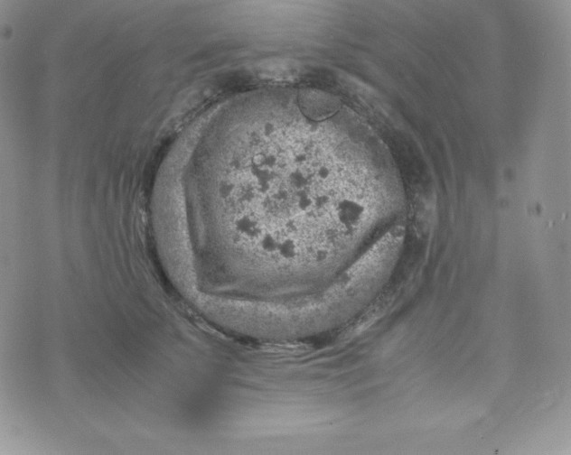 X0000070370707200606301856