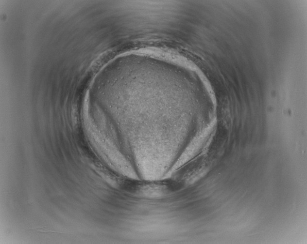 X0000070370708200606301856