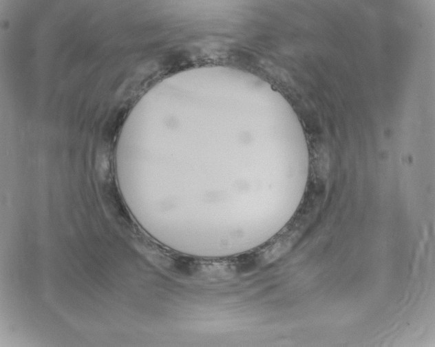 X0000070370709200606301856