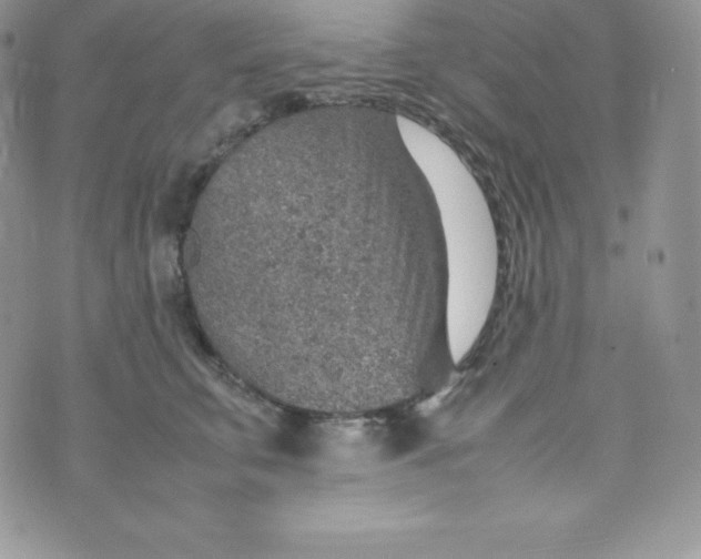 X0000070370711200606301856