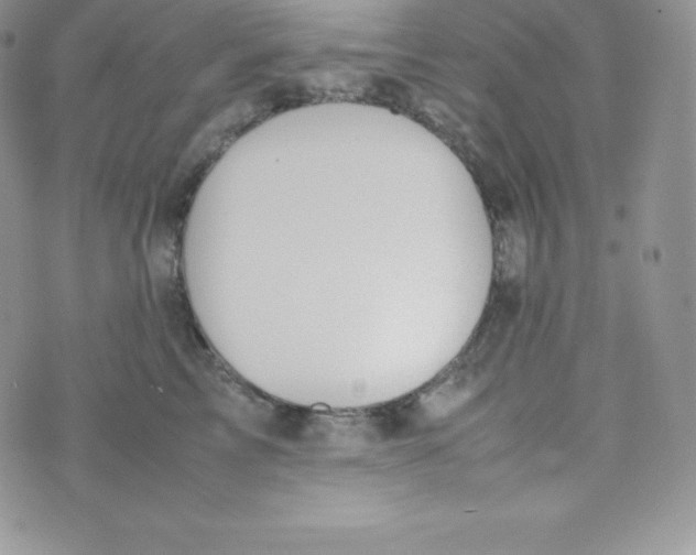 X0000070370713200606301856