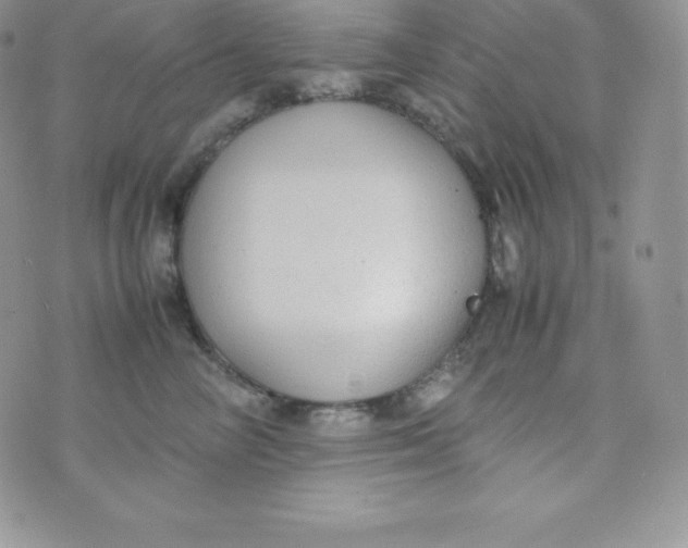 X0000070370714200606301856