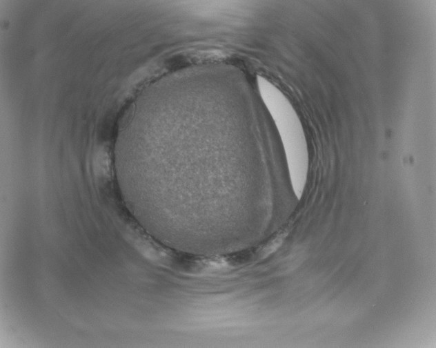 X0000070370715200606301856