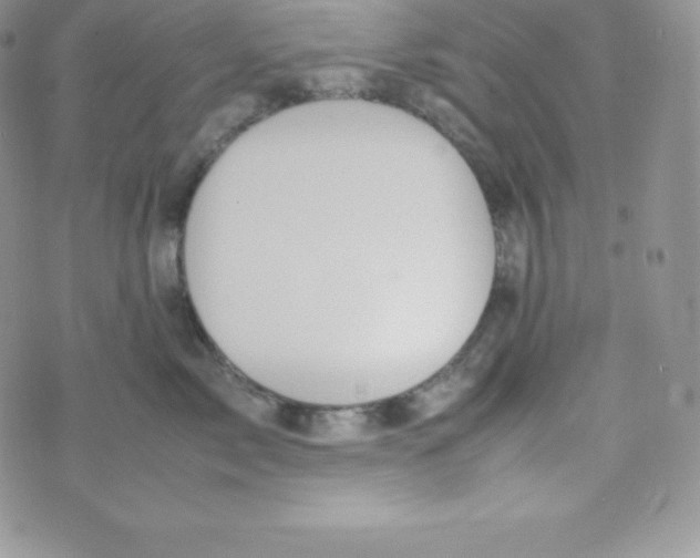 X0000070370717200606301856