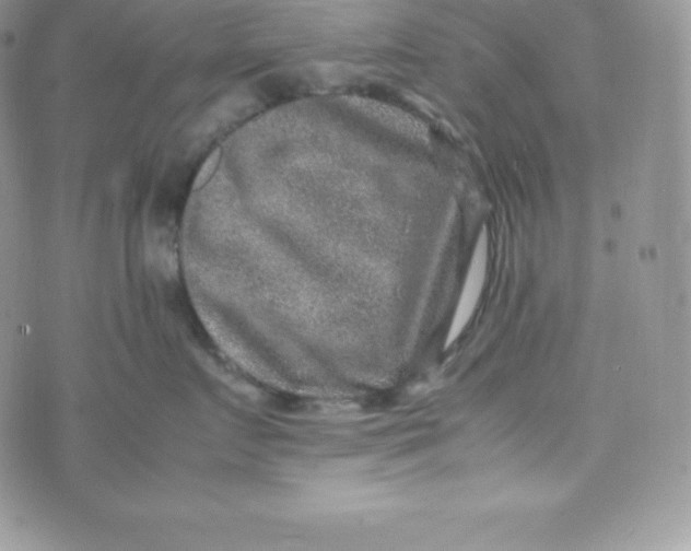 X0000070370719200606301856