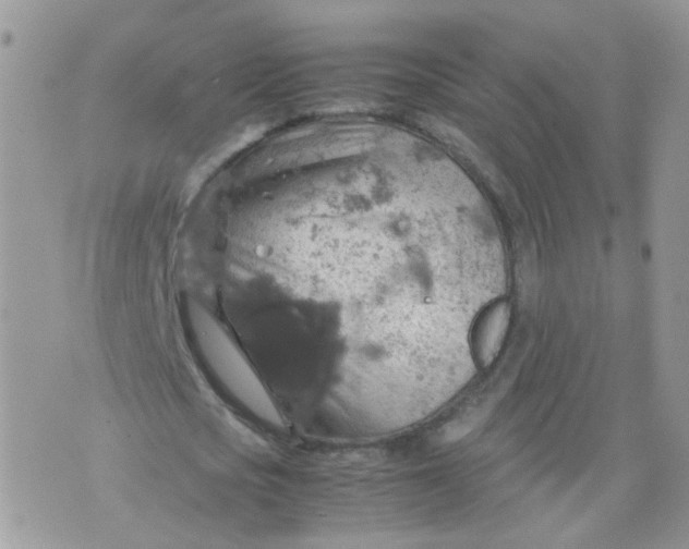 X0000070370721200606301855